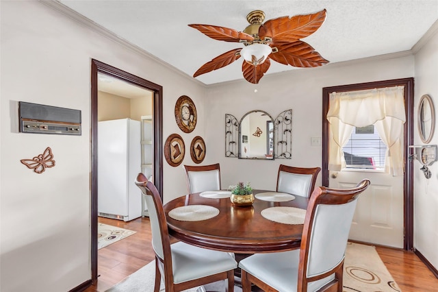 dining space featuring ornamental molding, ceiling fan, and light wood-type flooring