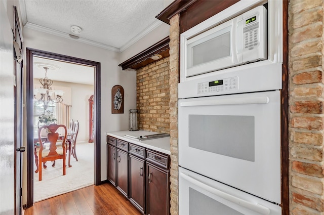 kitchen with white appliances, dark wood-type flooring, dark brown cabinets, ornamental molding, and a textured ceiling