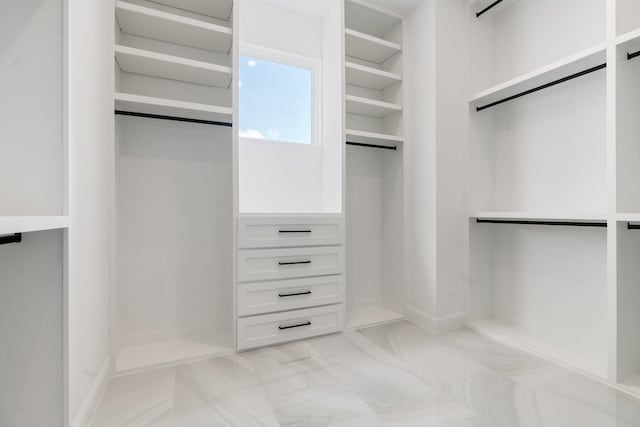 spacious closet with a barn door