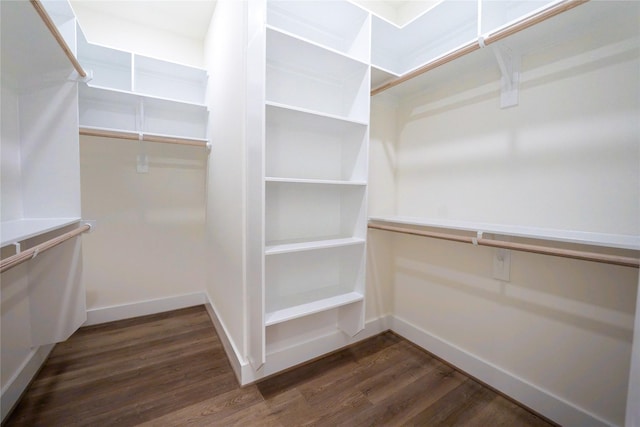 walk in closet with dark hardwood / wood-style floors