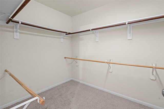 walk in closet with light colored carpet