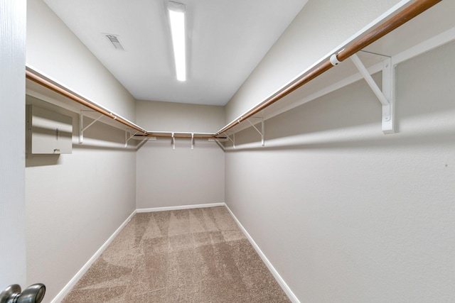 spacious closet featuring carpet floors