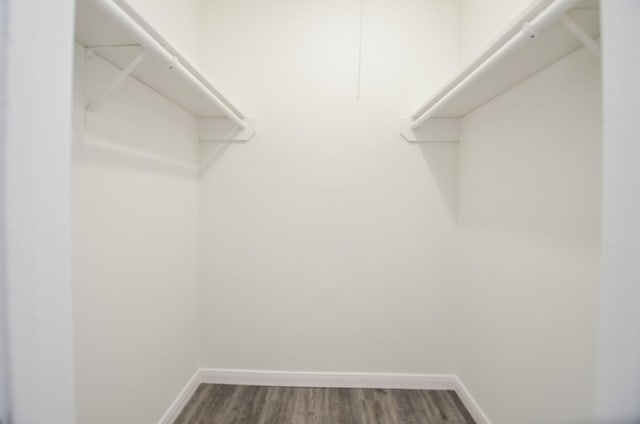 spacious closet with dark hardwood / wood-style flooring