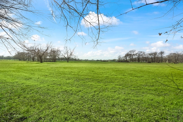 view of yard with a rural view