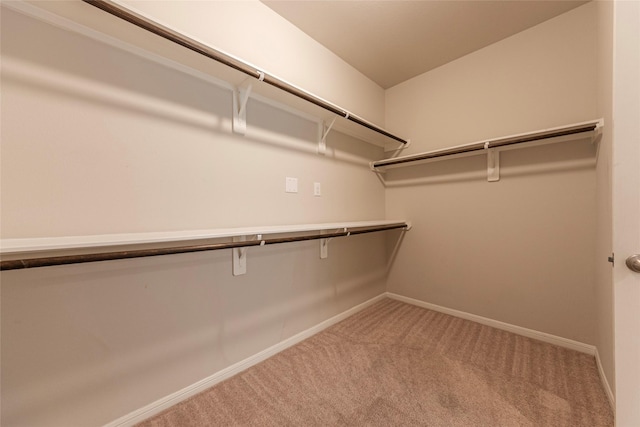 walk in closet featuring light colored carpet