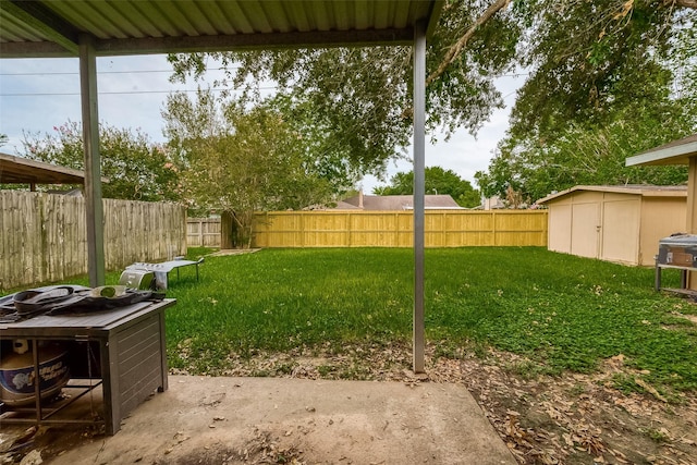 view of yard with a shed and a patio