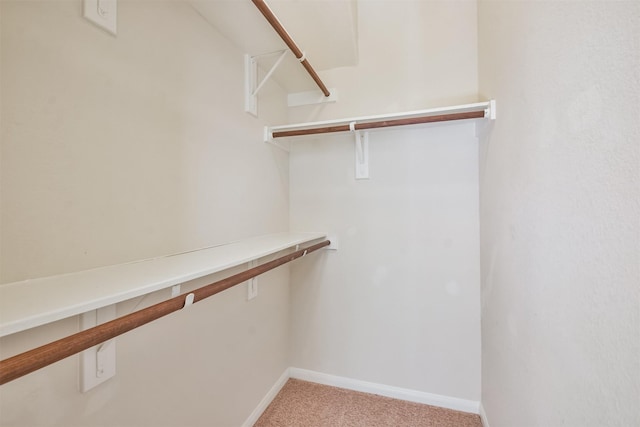 spacious closet with light carpet