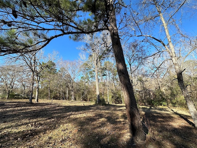 view of local wilderness