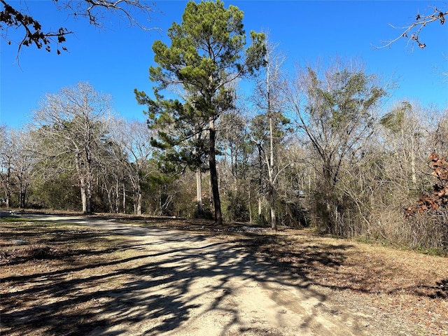 view of road