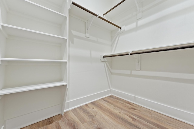 spacious closet with hardwood / wood-style flooring