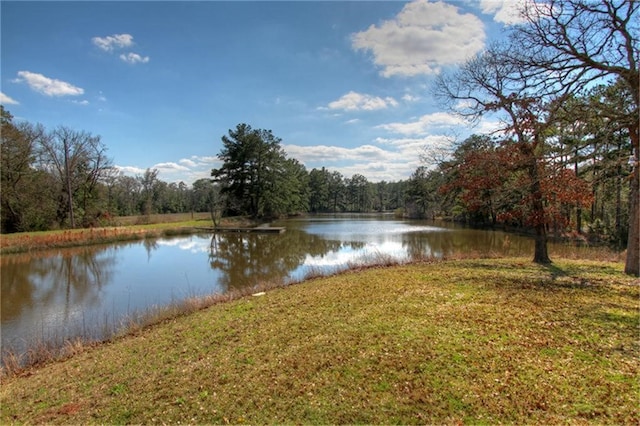 water view