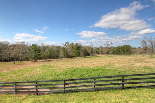 view of yard featuring a rural view