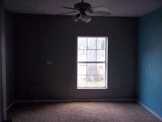 carpeted spare room with ceiling fan