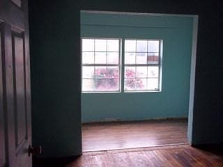 spare room featuring wood-type flooring