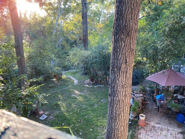 view of yard featuring a patio area