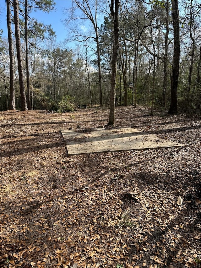 Listing photo 2 for LOT2 Mcclains Rd, Shepherd TX 77371