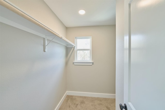 walk in closet with light carpet