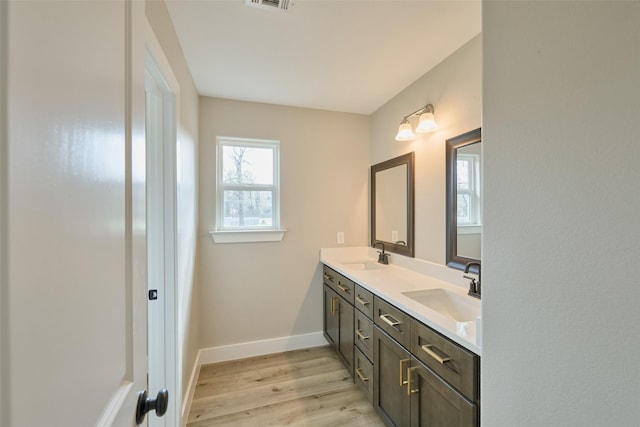 bathroom with hardwood / wood-style flooring and vanity