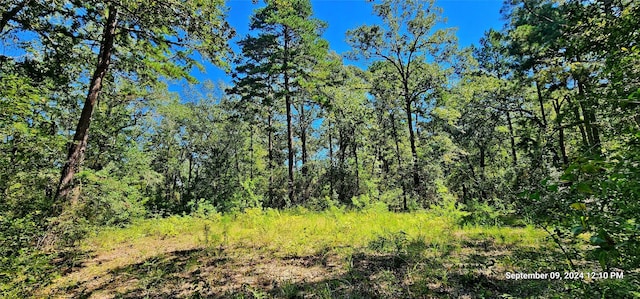 TBD Zed Creek Rd, Lufkin TX, 75904 land for sale