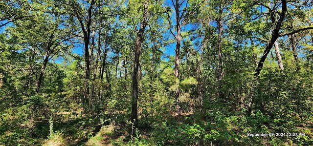 Listing photo 2 for TBD Zed Creek Rd, Lufkin TX 75904