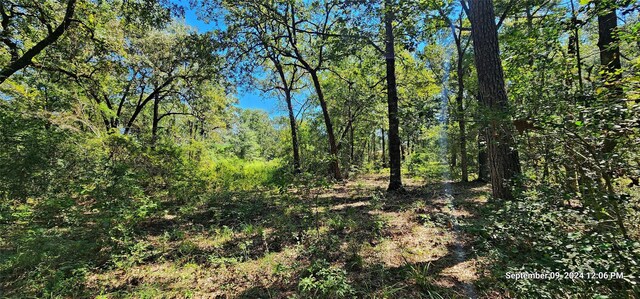 Listing photo 3 for TBD Zed Creek Rd, Lufkin TX 75904