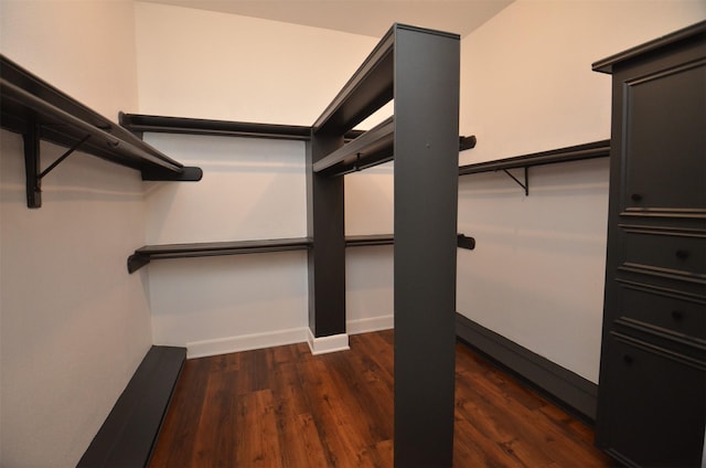 spacious closet featuring wood finished floors