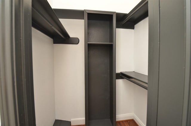 spacious closet with dark wood-type flooring