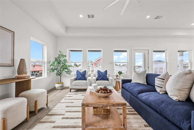 living room with light hardwood / wood-style flooring and a raised ceiling