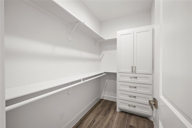 walk in closet with dark wood-type flooring