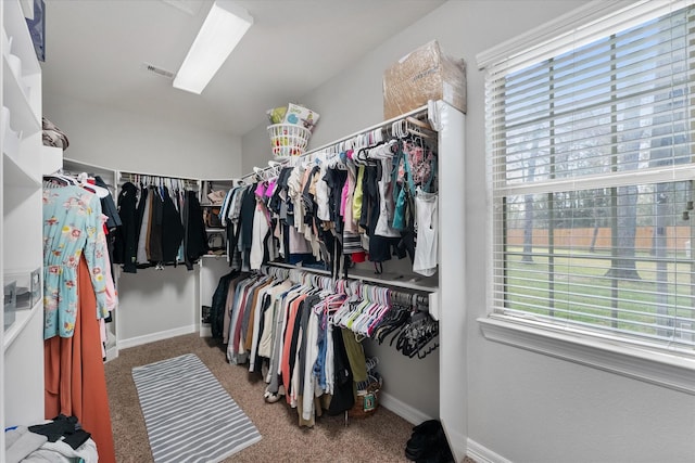 walk in closet with carpet floors