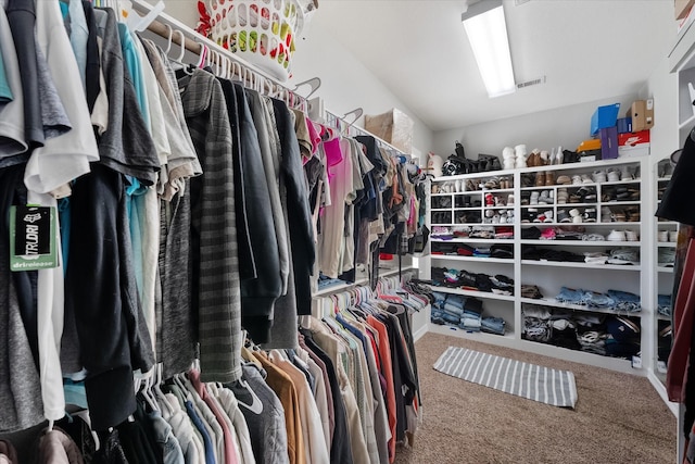 spacious closet with carpet