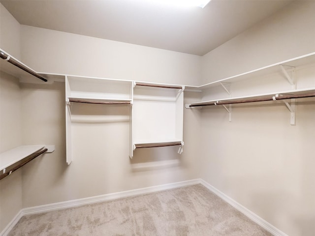 walk in closet featuring light colored carpet