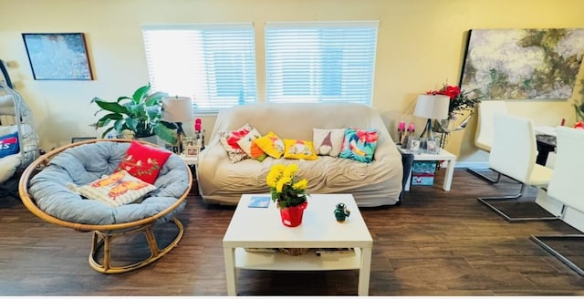 living room featuring dark wood-type flooring