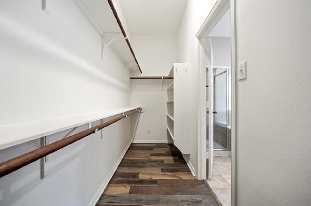 walk in closet with dark wood-type flooring