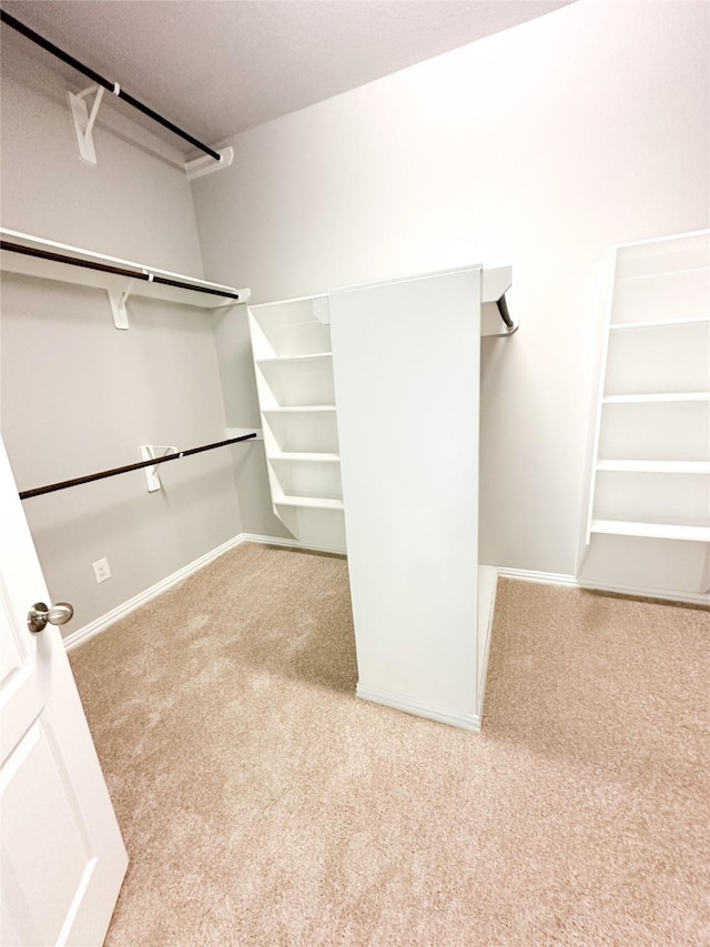 spacious closet with light carpet