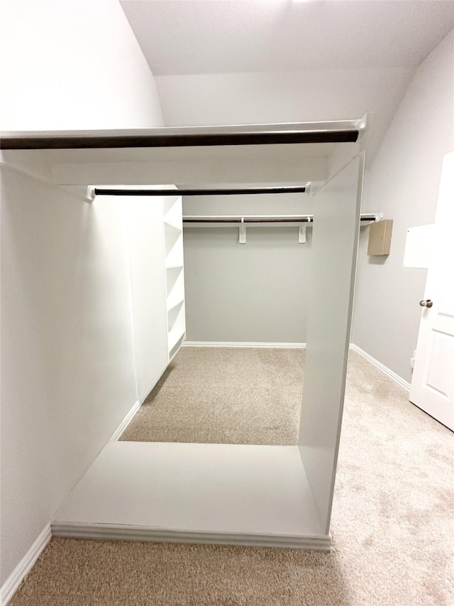 walk in closet with carpet