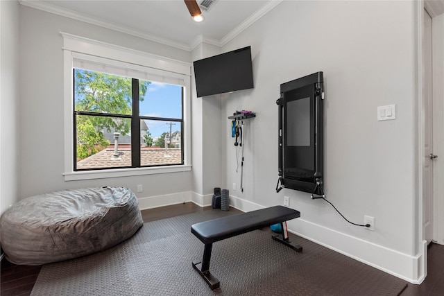 workout area with ornamental molding and dark hardwood / wood-style floors