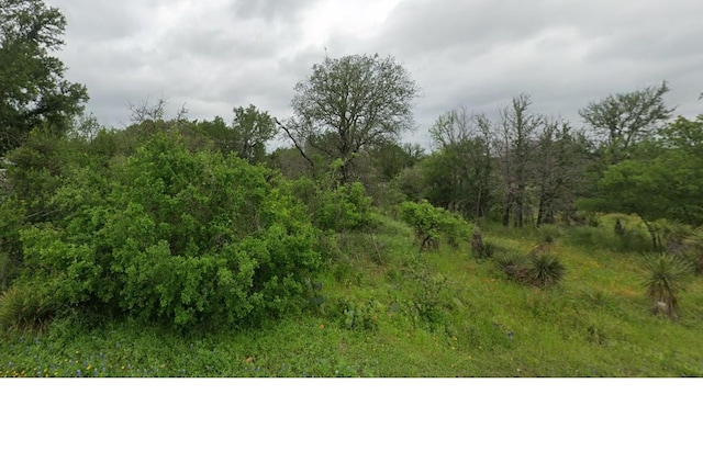 00 Glen Forest Dr, Granite Shoals TX, 78654 land for sale