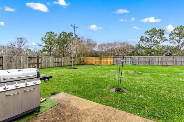 view of yard with a fenced backyard