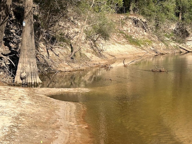 Listing photo 3 for TBD Lindsey Rd, Silsbee TX 77656