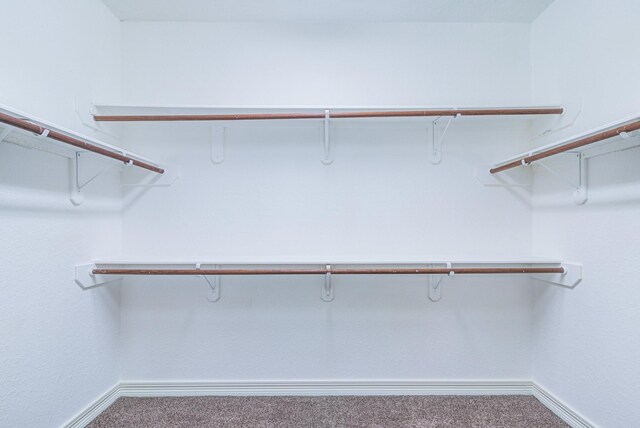 walk in closet with carpet flooring