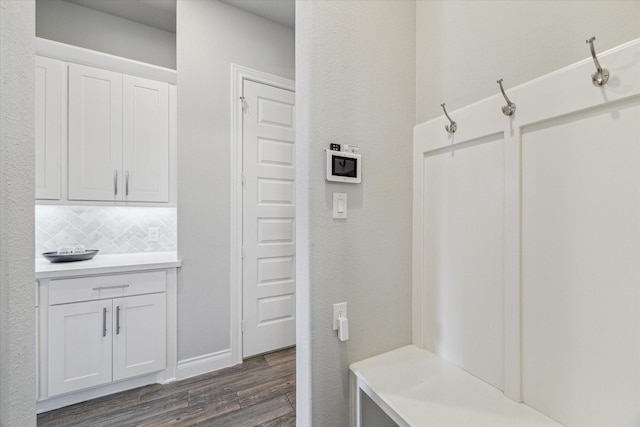 mudroom featuring dark wood-type flooring