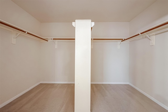 spacious closet featuring light carpet