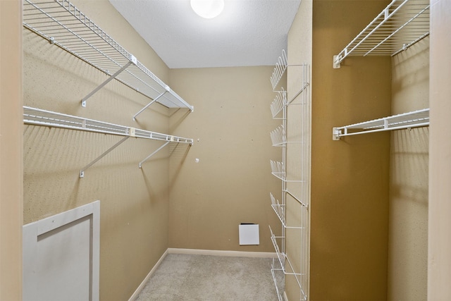 walk in closet with carpet