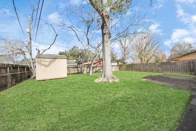 view of yard with a shed