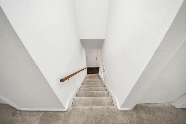 stairs with carpet floors