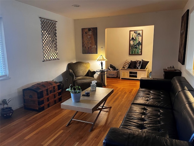 living room with hardwood / wood-style floors