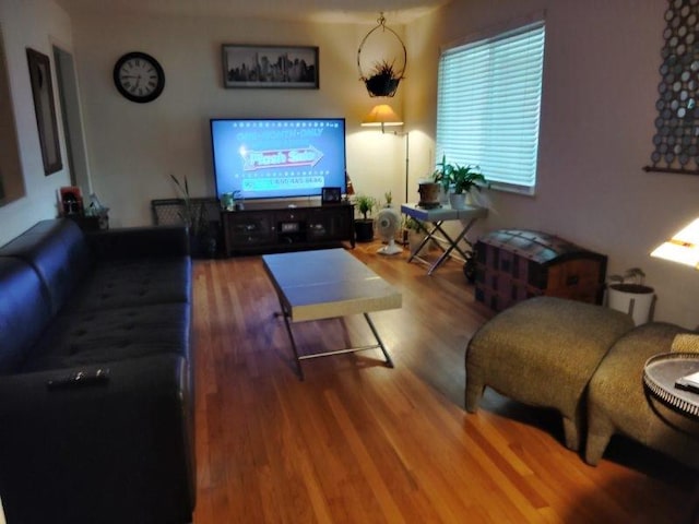 living room featuring wood-type flooring