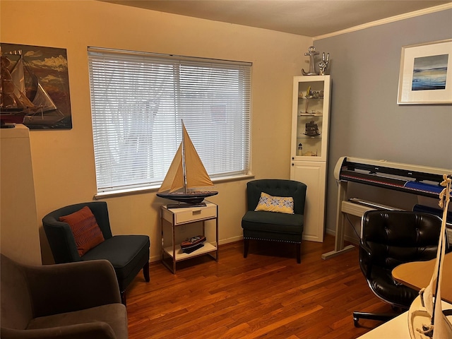 office space featuring dark hardwood / wood-style floors