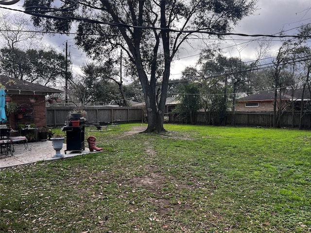 view of yard with a patio area